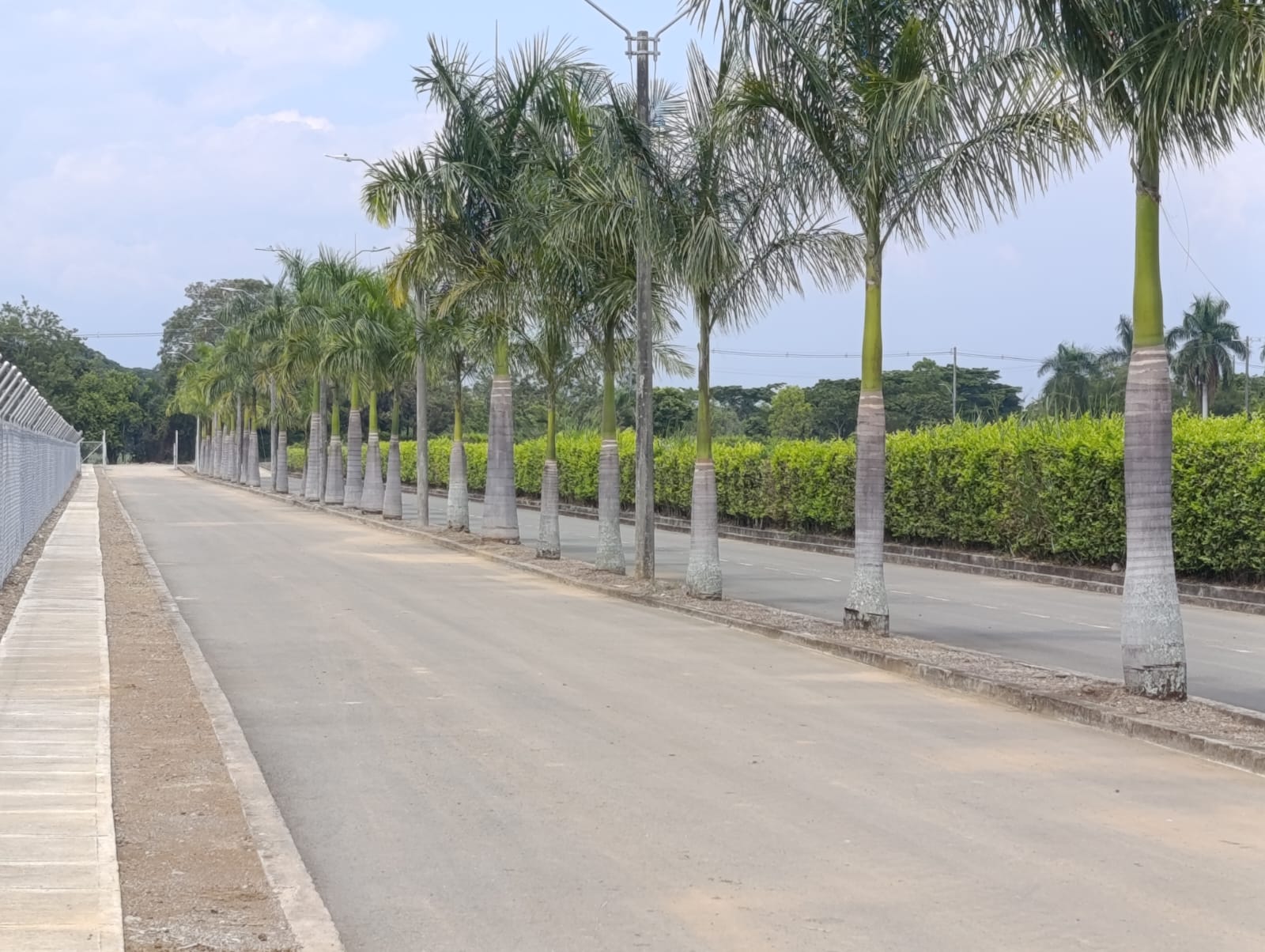Venta Lotes Jamundi Palmeras De La Italia 2